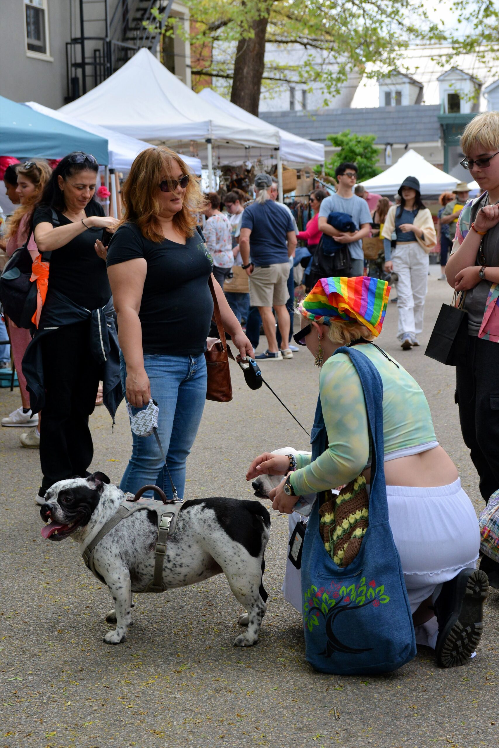 Lambertville Prepares For Annual Shad Fest This Weekend New Hope Free